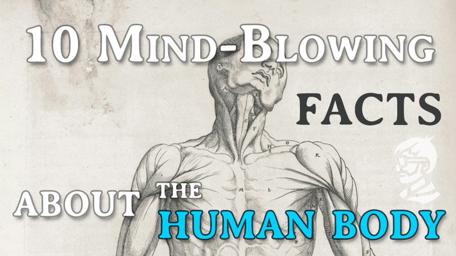 mind blowing facts about your body